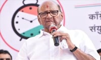 मनमोहन सिंग, राहुल गांधी आणि शिवसेनेचे आभार : शरद पवार